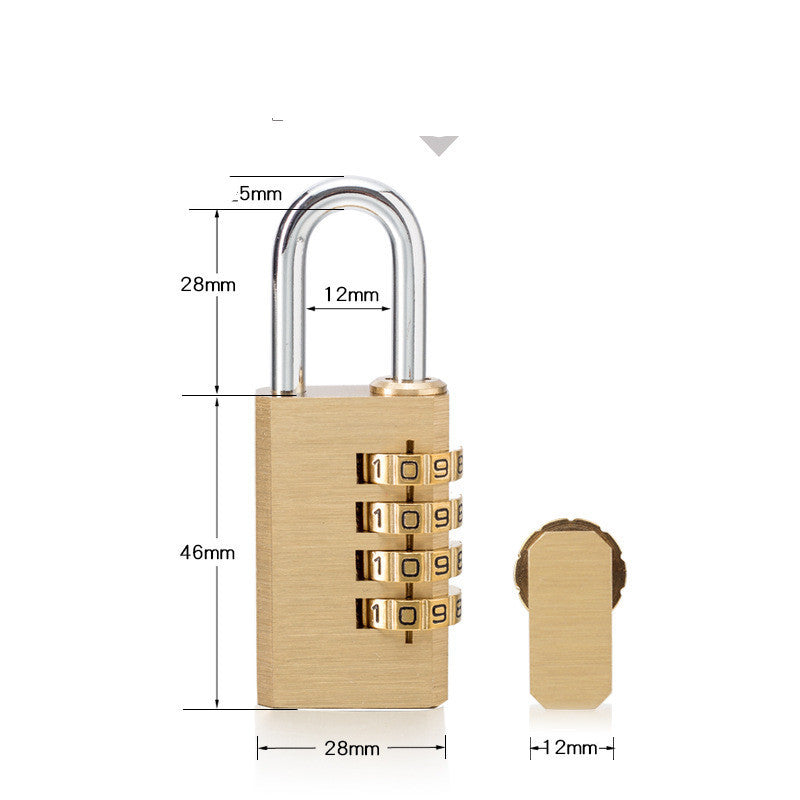 Large Gym Cupboard Door DoorPadlock