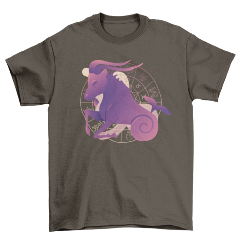 Capricorn zodiac sign astrology horoscope t-shirt