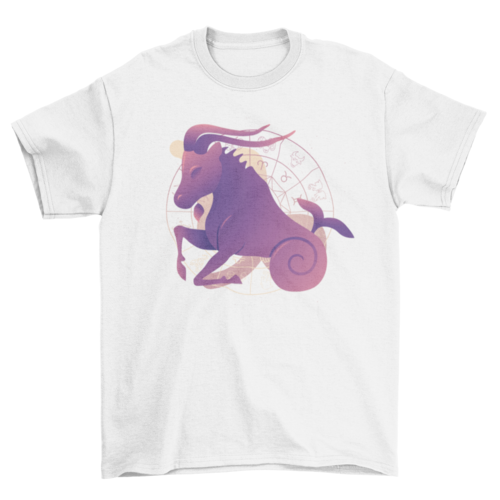 Capricorn zodiac sign astrology horoscope t-shirt