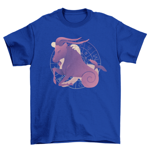 Capricorn zodiac sign astrology horoscope t-shirt